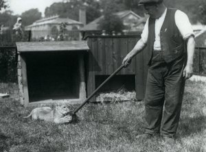 En løveunge leker med en mopp, holdt av vokteren, på gresset foran hiet, London Zoo, september 1925 av Frederick William Bond