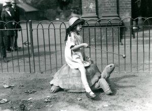 En liten jente, Betty, holder frem en pinne med et eple på enden for å lede kjempeskilpadden hun rir på, London Zoo, 1924 av Frederick William Bond