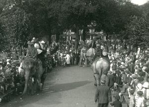 Elefantritt, med tre asiatiske elefanter sett av mengder av tilskuere ved London Zoo i august 1926 (s/hvitt-bilde) av Frederick William Bond