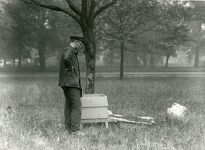 Keeper Brown flyttet en sverm av honningbier, London Zoo, juli 1926 av Frederick William Bond