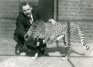 Keeper Charles Dixon med en leken gepard i London Zoo, oktober 1922 av Frederick William Bond