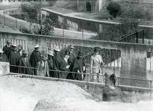 Sir Peter Chalmers Mitchell, med den etiopiske regenten Haile Selassie og hans følge, ser på en brunbjørn på Mappin Terraces, London Zoo, 1924 av Frederick William Bond