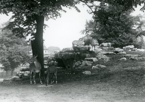 ElandAntelope Paddock i London Zoo i 1924 av Frederick William Bond