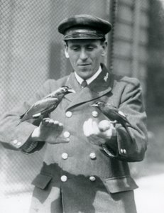 To Myna-fugler i hendene til keeper Thomas Raggett, London Zoo, juni 1924 av Frederick William Bond
