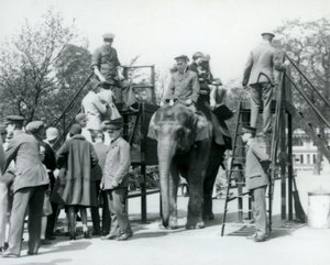 Besøkende som står i kø for en elefanttur mens andre legger ut, med hjelp av fem voktere, London Zoo, 1927 av Frederick William Bond