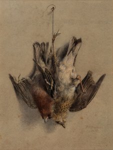  av Frederick William Jackson