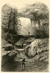 'Falls of the Blackwater', 1872. av Frederick William Quartley