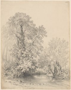 Trær ved elven på Castle Bromwich av Frederick William Watts