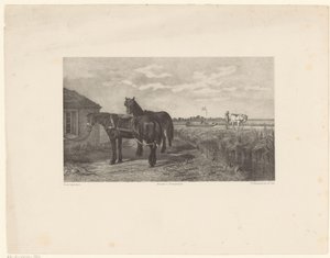 To hester foran en låve