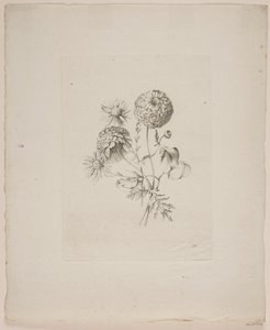 Blomstermotiv