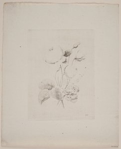 Blomstermotiv
