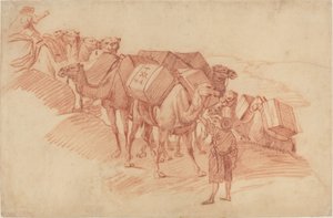 Camel Caravan