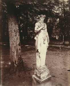 Versailles-Faun av Eugène Atget