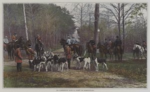 Et veiskille i Foret de Rambouillet, Frankrike (fargebilde) av French Photographer