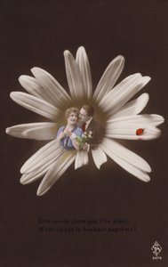 Et ungt par i midten av en blomst med marihøne (tonet fotokollasje) av French Photographer