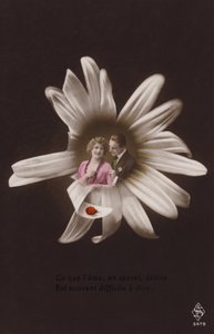 Et ungt par i midten av en blomst med marihøne (tonet fotokollasje) av French Photographer