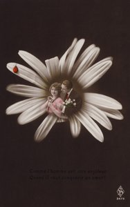 Et ungt par i midten av en blomst med marihøne (tonet fotokollasje) av French Photographer