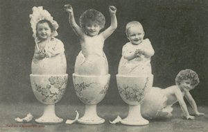 Babyer som klekkes fra egg i eggekopper (s/hvitt bilde) av French Photographer