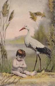 Baby med stork av French Photographer