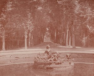Basin of Flora, Versailles Park (s/hv-bilde) av French Photographer