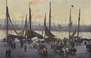 Boulogne-sur-Mer, Forberedelser for sildefiske av French Photographer