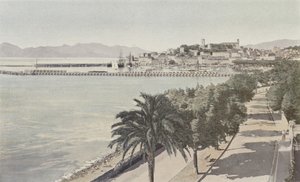 Cannes, havn og gamlebyen, Boulevard de la Croisette av French Photographer