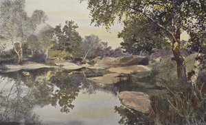 Fontainebleau, Forest, Mare de Franchard av French Photographer