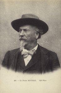 Frederic Mistral (1830–1914), fransk poet og leksikograf av det oksitanske språket av French Photographer
