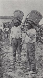 Drueplukkere på jobb (s/hvitt-bilde) av French Photographer