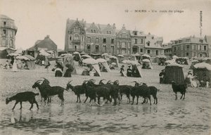 Mers - en del av stranden. Postkort sendt i 1913. av French Photographer