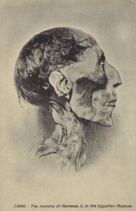 Mamma av Ramesses II av French Photographer