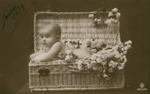 Postkort av en baby i en flettet kurv med blomster, sendt i januar 1913 av French Photographer