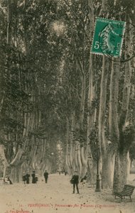Promenade av platantrærne i Perpignan. Postkort sendt i 1913. av French Photographer