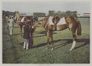 Veddeløpshester i Deauville, Frankrike (fargebilde) av French Photographer