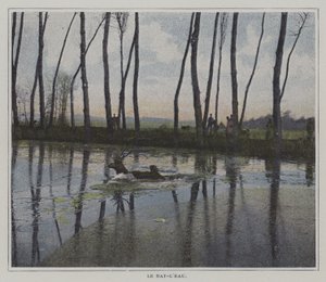 Hjort som svømmer for å unnslippe en jakt (fargebilde) av French Photographer