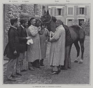 Tar en blodprøve fra en hest ved Institut Pasteur, Paris (s/hv-bilde) av French Photographer