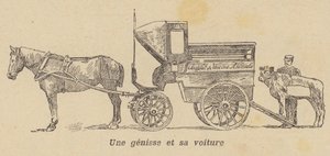 En kvige blir lastet inn i en vogn (litho) av French School