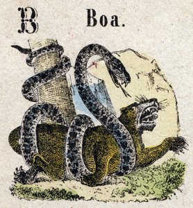 Abecedary. Bokstav B som Boa. Lite encyklopedisk alfabet, populær serie. Epinal avbildning, slutten av 1800-tallet av French School