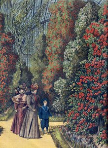 Akklimatiseringshage - Kameliadrivhus i en botanisk hage av French School