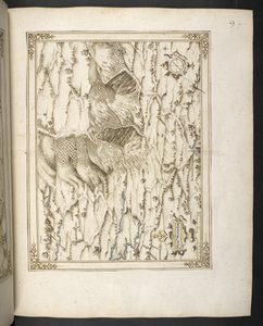 Legg til MS 21117 f.7r Le Monthullin, Frankrike, fra #39;Kart, planer og utsikt over byer og festninger i Frankrike#39; av François Martilleur for Maximilien de Béthune av French School