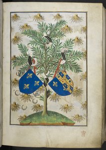 Legg til Ms 18850 f.15r Armorial-side, fra Book of Hours (The Bedford Hours) c.1410-30 (blekk, farge og gull på vellum) av French School