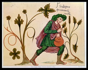 Aesculapius oppdager betony, faksimile av et manuskript av Antonius Musa (63 f.Kr.-14 e.Kr.) (se 235101 for original) av French School