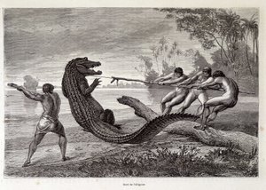 Alligator Hunt, Brasil, "" Round the World"" 2. uke 1874. av French School