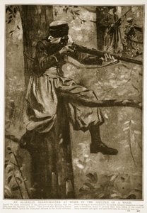 En algerisk skarpskytter på jobb i ly av en skog, 1914-19 av French School