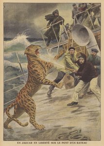 En rømt jaguar på frifot på et skip (farge litho) av French School