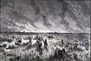 Dyr som flykter fra en præriebrann av French School