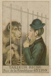 Ape og menneske av French School
