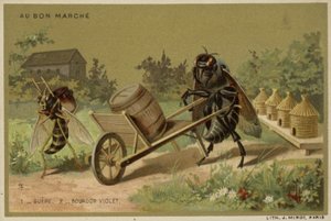 Au Bon Marche-kort med antropomorfe insekter av French School