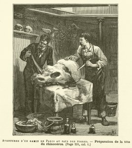 Adventures of a Boy From Paris In The Land Of The Tigers (gravering) av French School