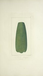 Aztec Axe, illustrasjon fra 'Views of the Cordilleras and Monuments of the Native Peoples of America' av Alexander von Humboldt og Aime Bonpland av French School